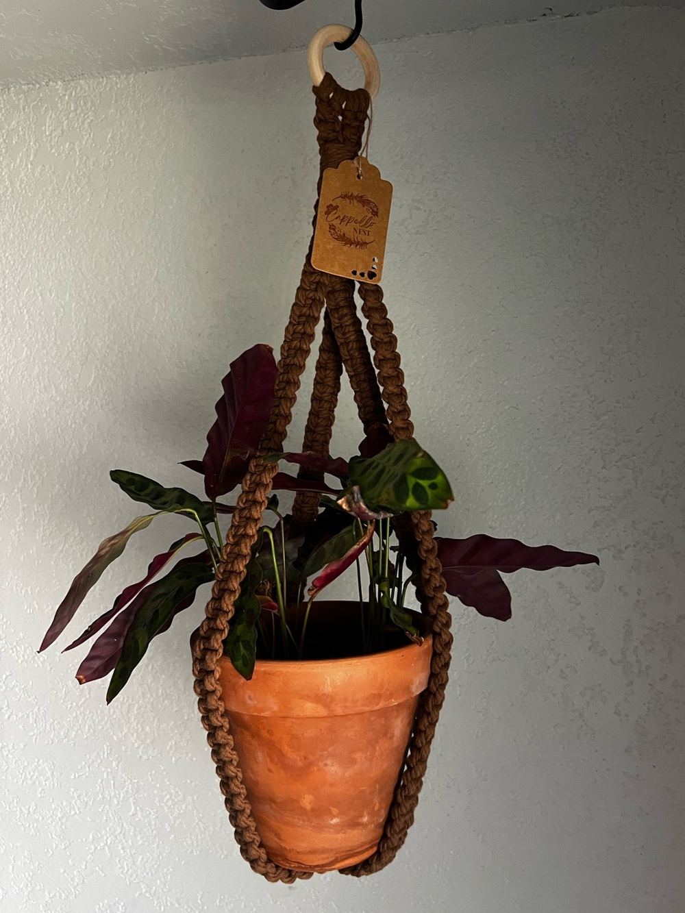 Brand New Handmade Macrame Plant Hanger